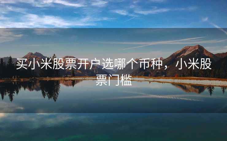 买小米股票开户选哪个币种，小米股票门槛