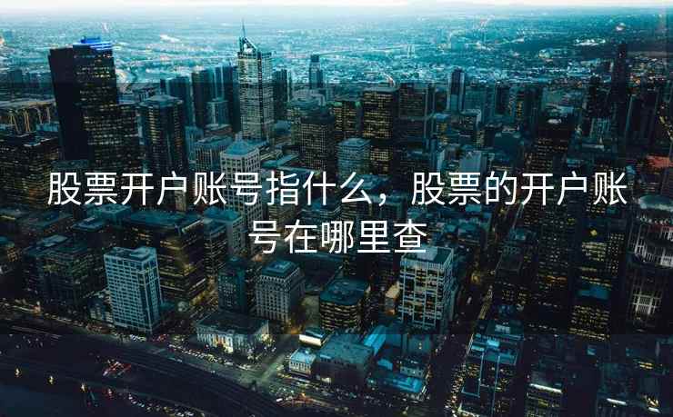 股票开户账号指什么，股票的开户账号在哪里查