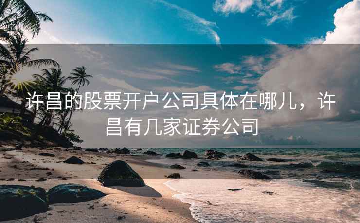 许昌的股票开户公司具体在哪儿，许昌有几家证券公司