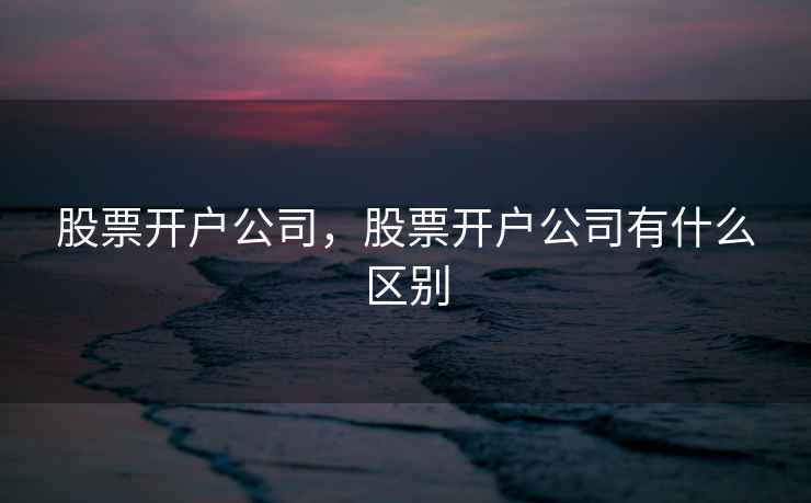 股票开户公司，股票开户公司有什么区别