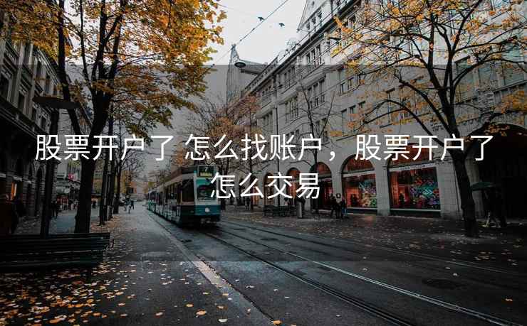 股票开户了 怎么找账户，股票开户了怎么交易