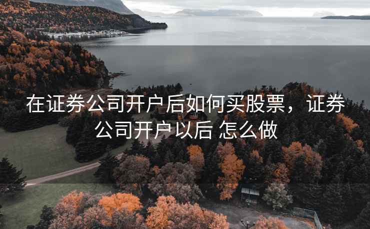 在证券公司开户后如何买股票,证券公司开户以后 怎么做 在证券公司开户后如何买股票,证券公司开户以后 怎么做