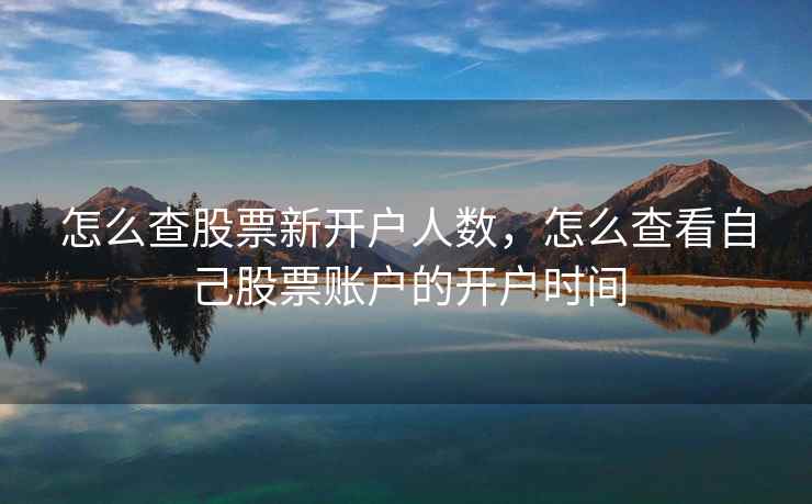 怎么查股票新开户人数，怎么查看自己股票账户的开户时间
